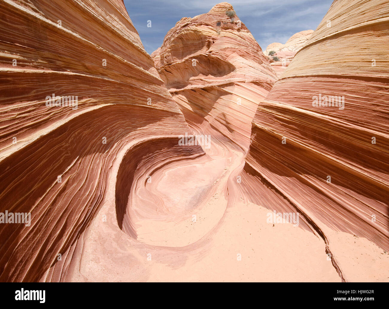 Sandstein Strukturen, The Wave, Arizona, USA Stockfoto