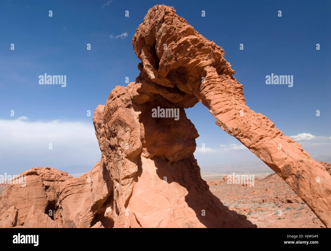 Elephant Rock, Valley of Fire State Park, Nevada, USA Stockfoto