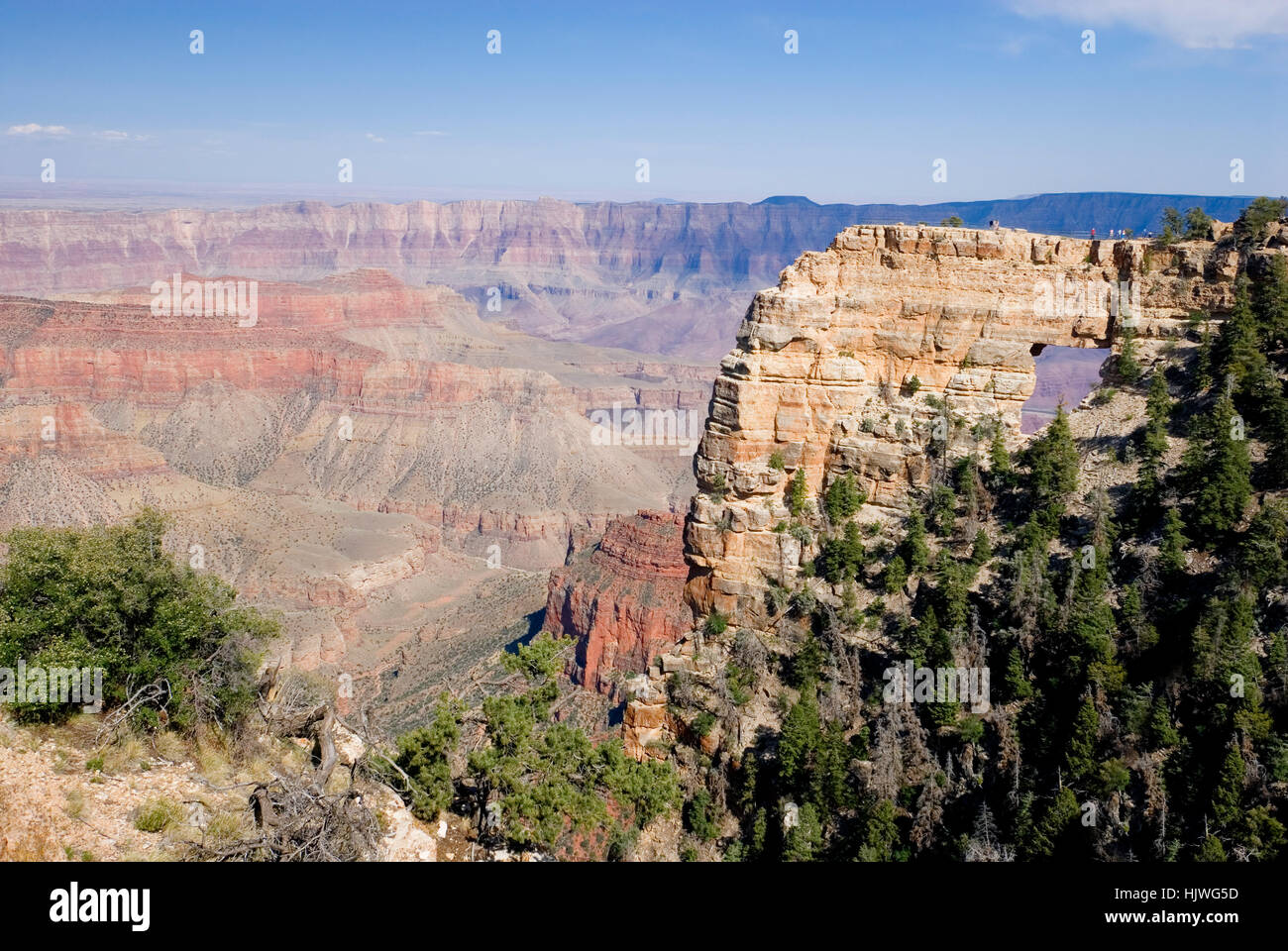 Engel Fenster, North Rim, Grand Canyon National Park, Arizona, USA Stockfoto
