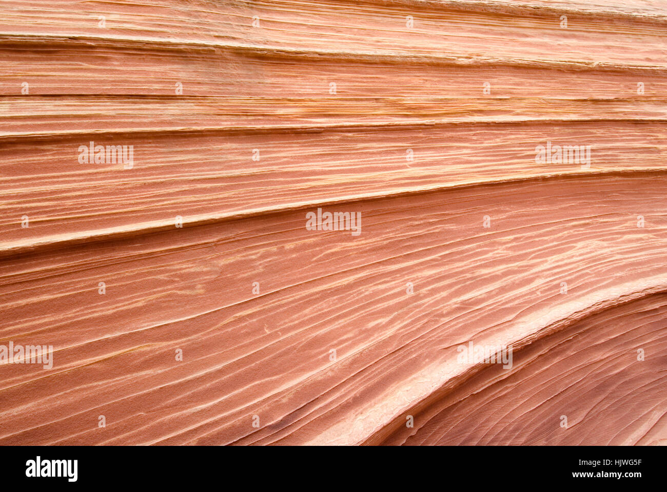 Die Welle, North Coyote Buttes, Vermilion Cliffs, Paria Canyon, Arizona, USA Stockfoto
