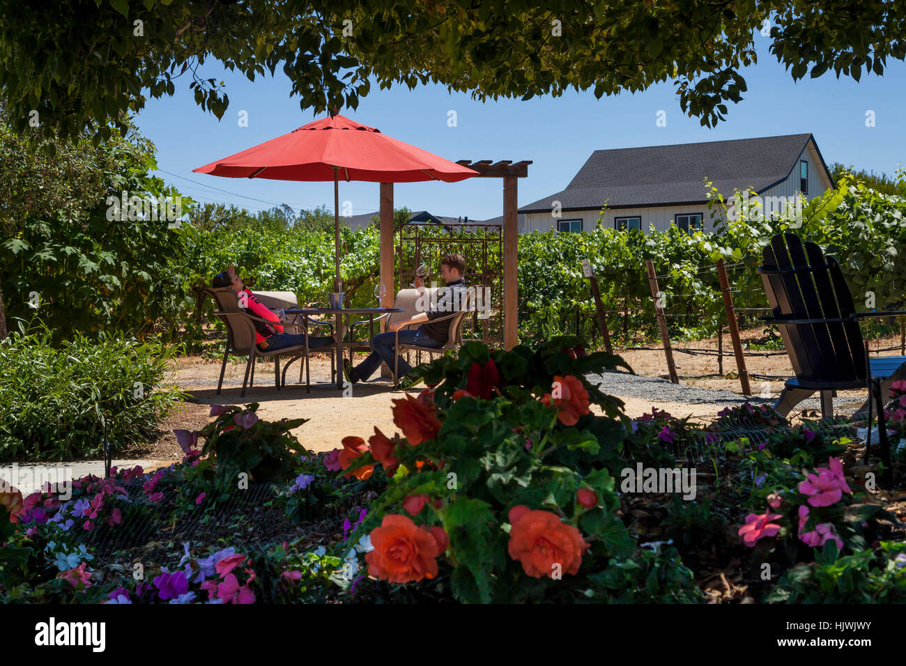 Paar, einem Glas Wein bei Martin Ray Weinberge & Winery, Santa Rosa, Sonoma County, Kalifornien, USA Stockfoto
