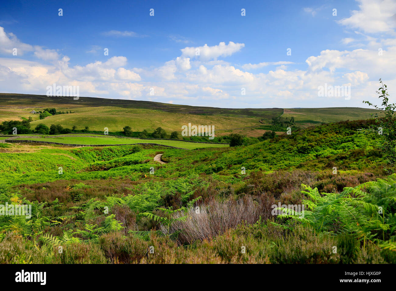 Ansicht von Wharfedale in den Yorkshire Dales von in der Nähe von Bolton Abbey Stockfoto