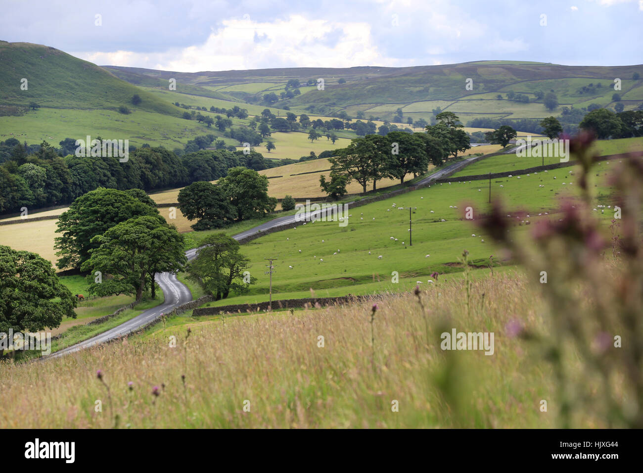 Ansicht von Wharfedale in den Yorkshire Dales von in der Nähe von Bolton Abbey Stockfoto