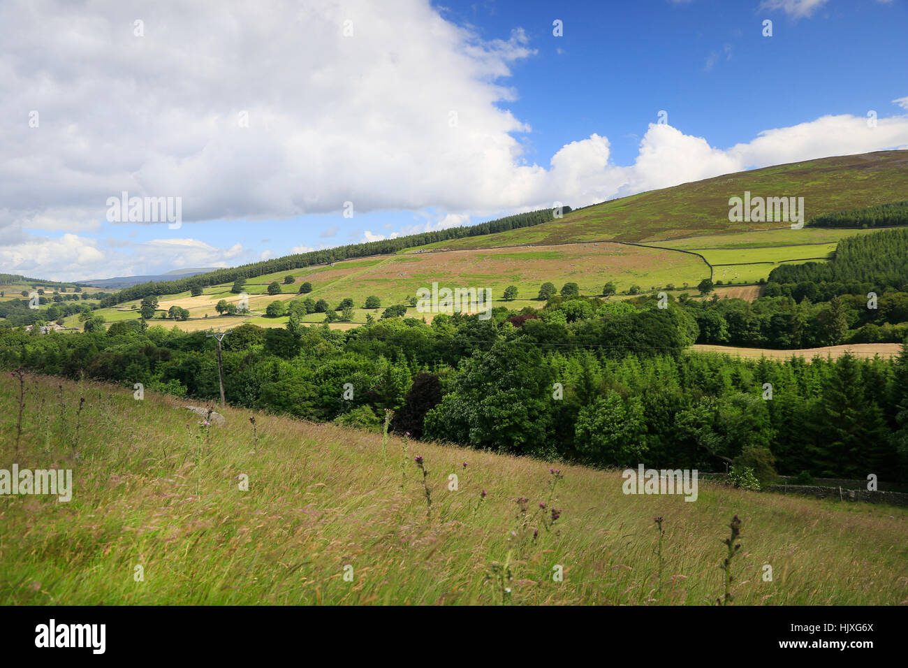 Ansicht von Wharfedale in den Yorkshire Dales von in der Nähe von Bolton Abbey Stockfoto