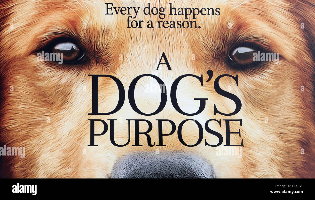 Eine Nahaufnahme von "A Dog Zweck" Plakatwand in Los Angeles, Kalifornien. Stockfoto