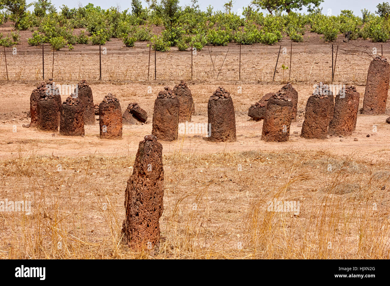 Wassu Stone Circles, UNESCO World Heritage Site, Gambia, Südafrika Stockfoto