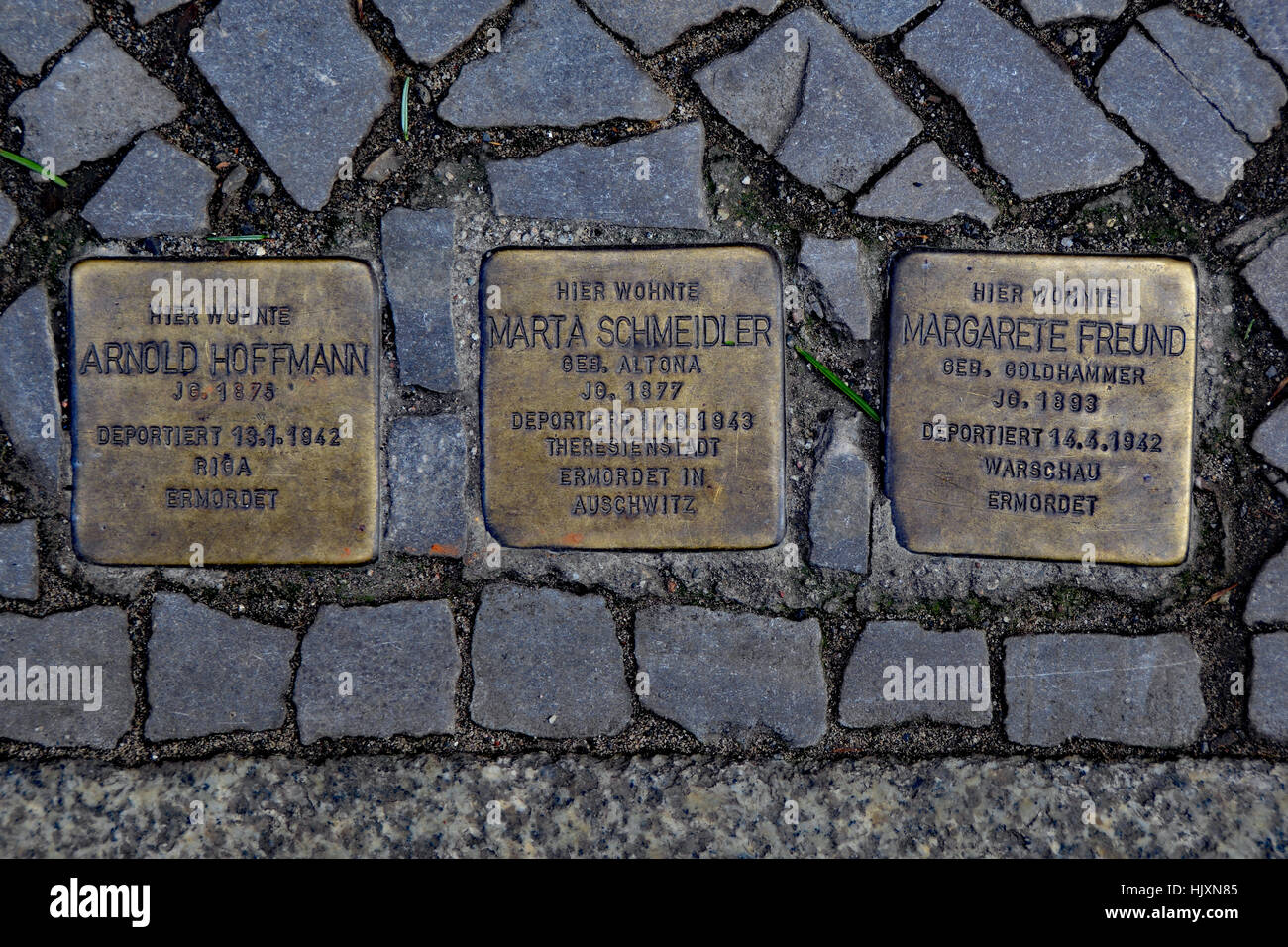 Stolperstein (Stolpersteine) auf den Straßen von Berlin (Gedenken an Arnold Hoffman, Marta Schmeidler und Margarete Freund) Stockfoto