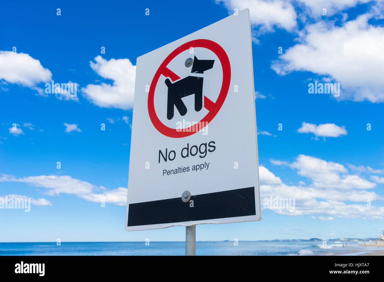 Melden Sie keine Hunde am Strand Stockfoto