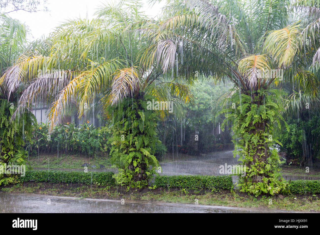 Monsunregen in Phuket, Thailand Stockfoto