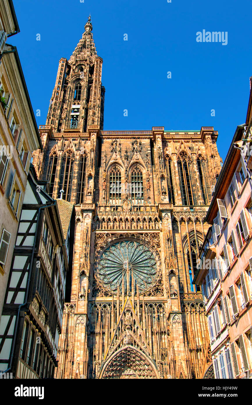 Die Kathedrale Notre-Dame in Straßburg Stockfoto