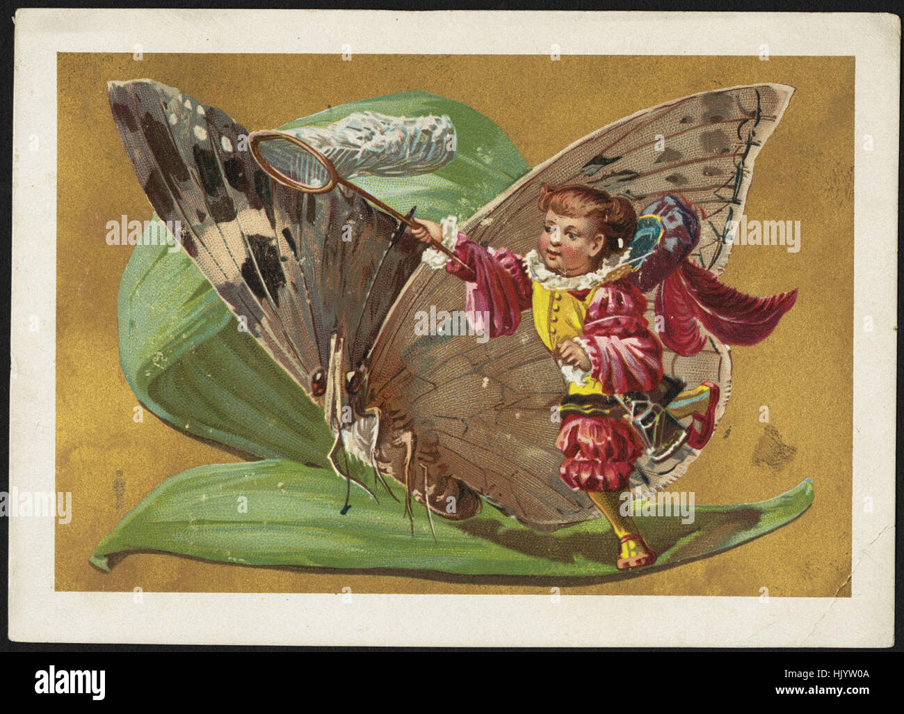 Kind schwingt net neben einem Schmetterling sitzt auf einem Blatt Stockfoto