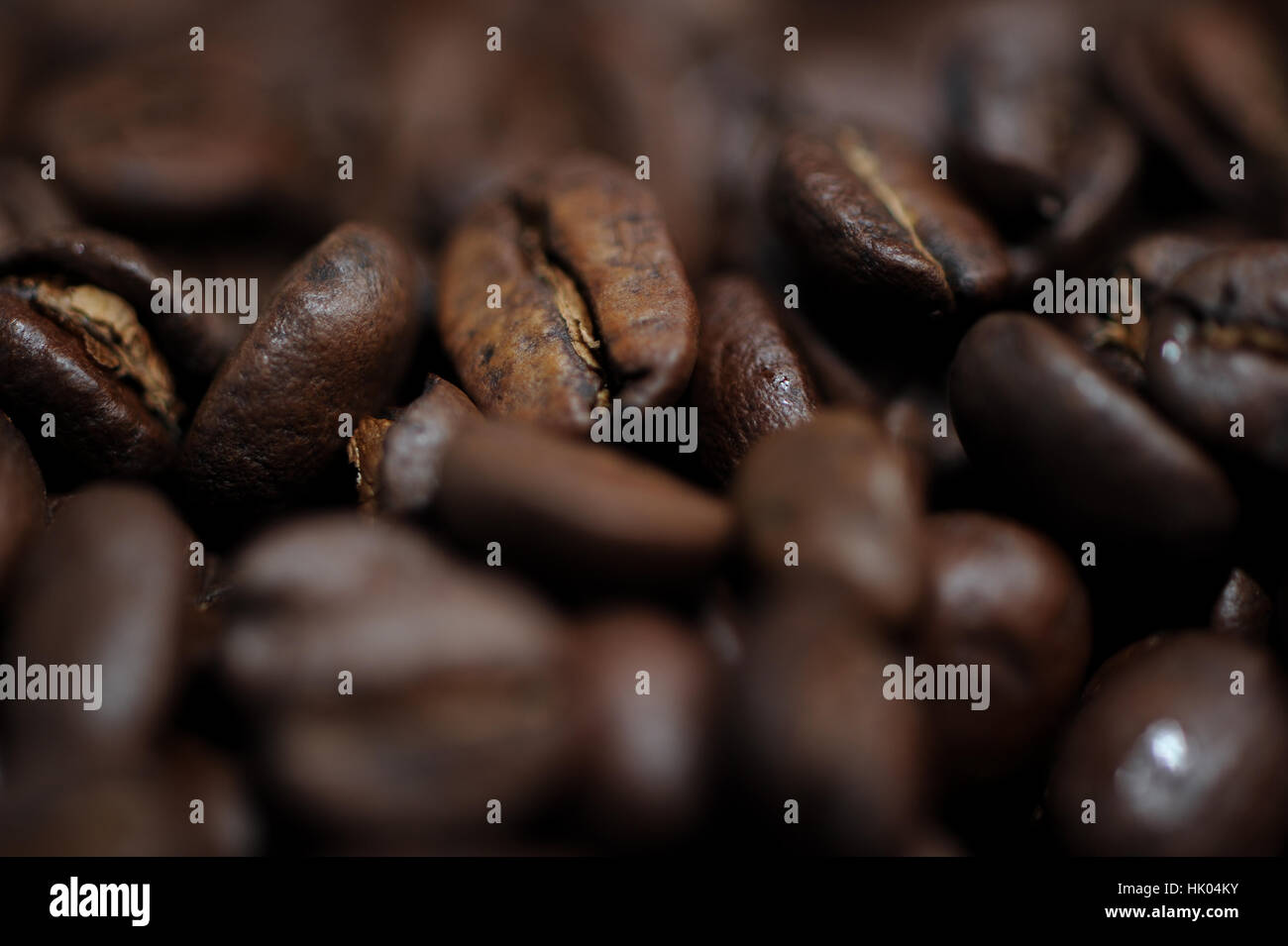 Kaffeebohnen hautnah Stockfoto