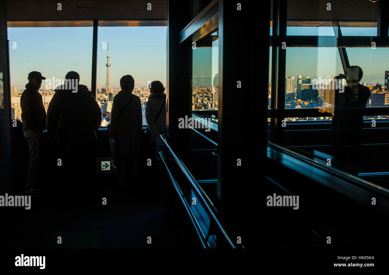 Stadtbild, Blick auf die Skyline von einem Wolkenkratzer, im Hintergrund Skytree Tower, Tokyo, Japan Stockfoto