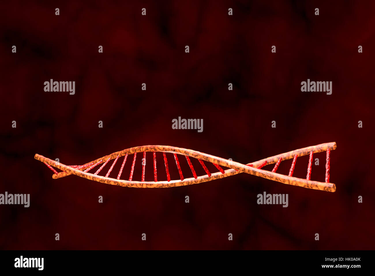 Das Modell der menschlichen DNA (3D-Modell). Abstrakte dunklen roten Hintergrund. Stockfoto