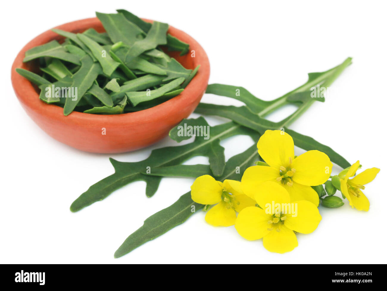 Frischer Rucola oder Rucola Blätter mit Blumen auf weißem Hintergrund Stockfoto
