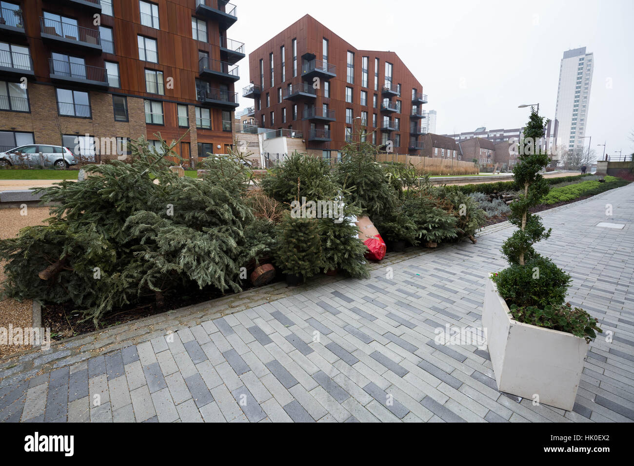 Gedumpten Weihnachtsbäume in der Nähe von neuen privaten Wohnungen in Surrey Quays, Süd-Ost-London, UK. Stockfoto