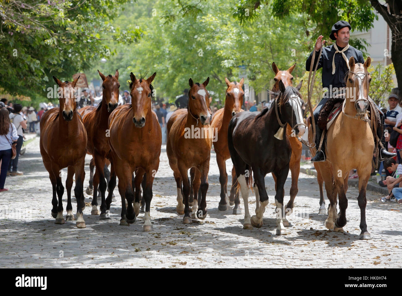 Gaucho-Parade auf den Tag der Tradition, San Antonio de Areco, La Pampa, Argentinien, Südamerika Stockfoto