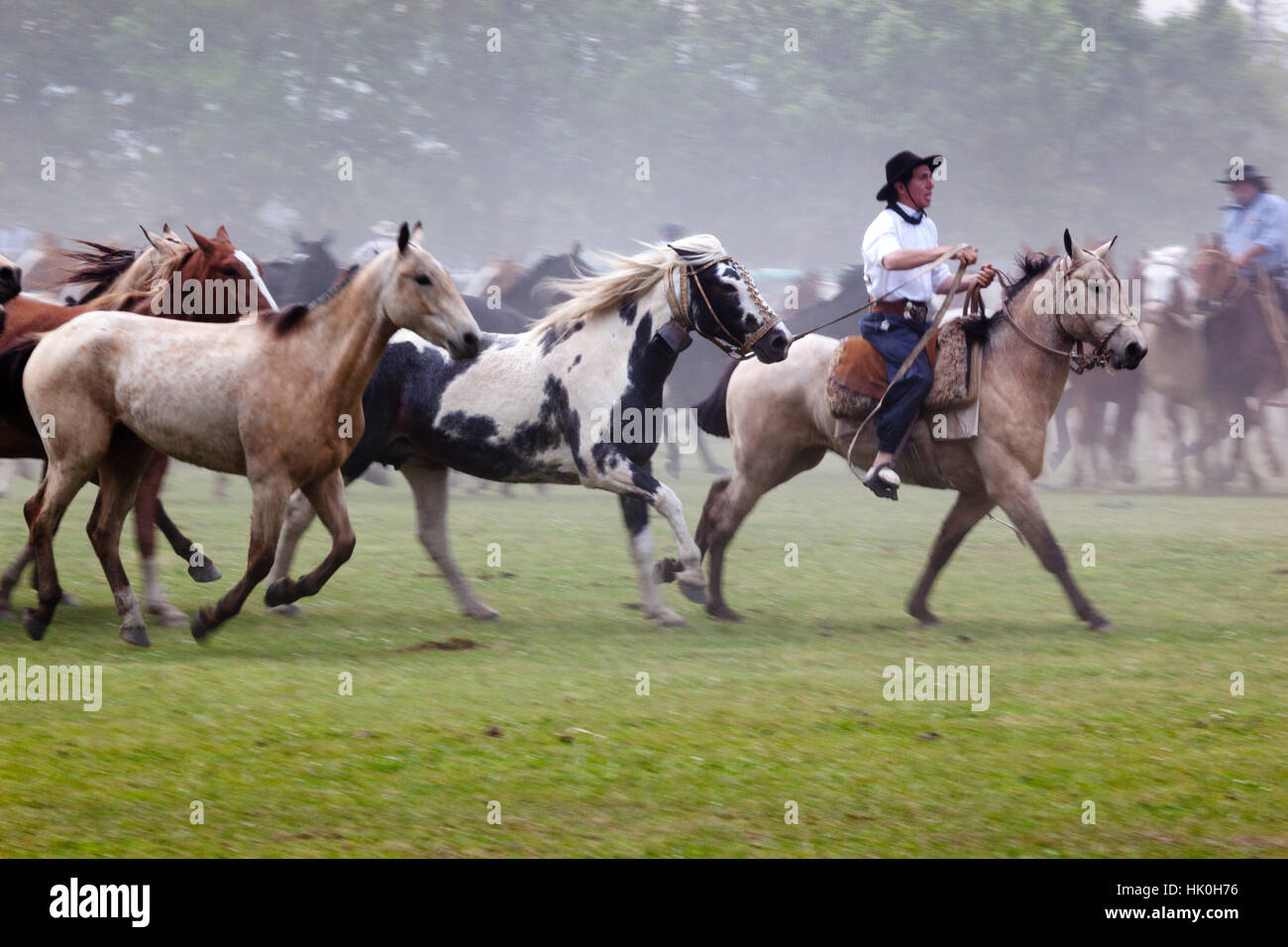 Gaucho-Festival auf den Tag der Tradition, San Antonio de Areco, La Pampa, Argentinien, Südamerika Stockfoto