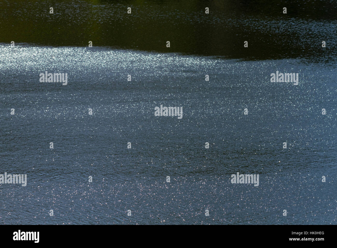 Glänzend auf der Oberfläche eines Sees. Stockfoto