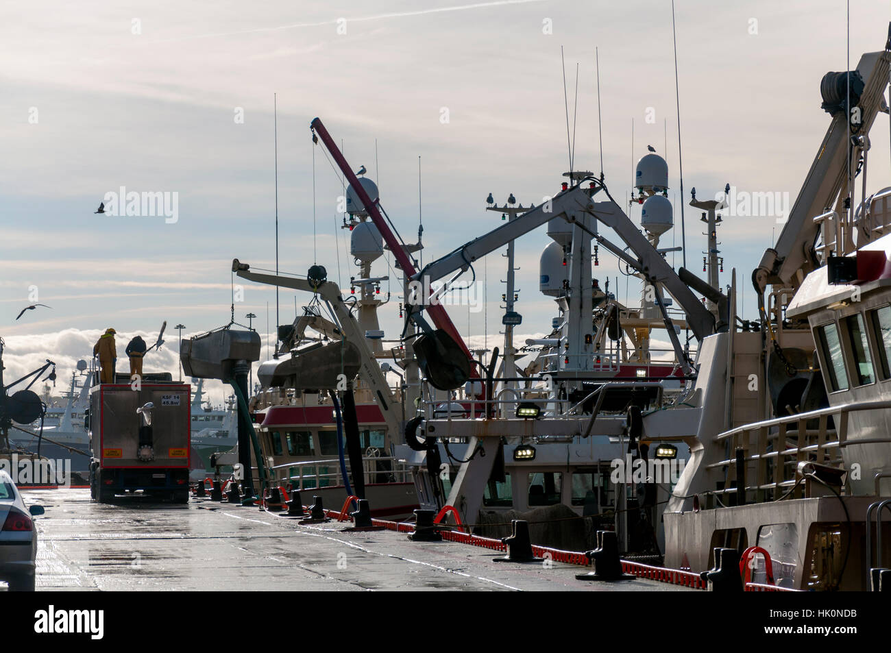 Entladung Makrele durch Pumpe vom Schiff LKW in Killybegs Harbour, County Donegal, Irland Stockfoto