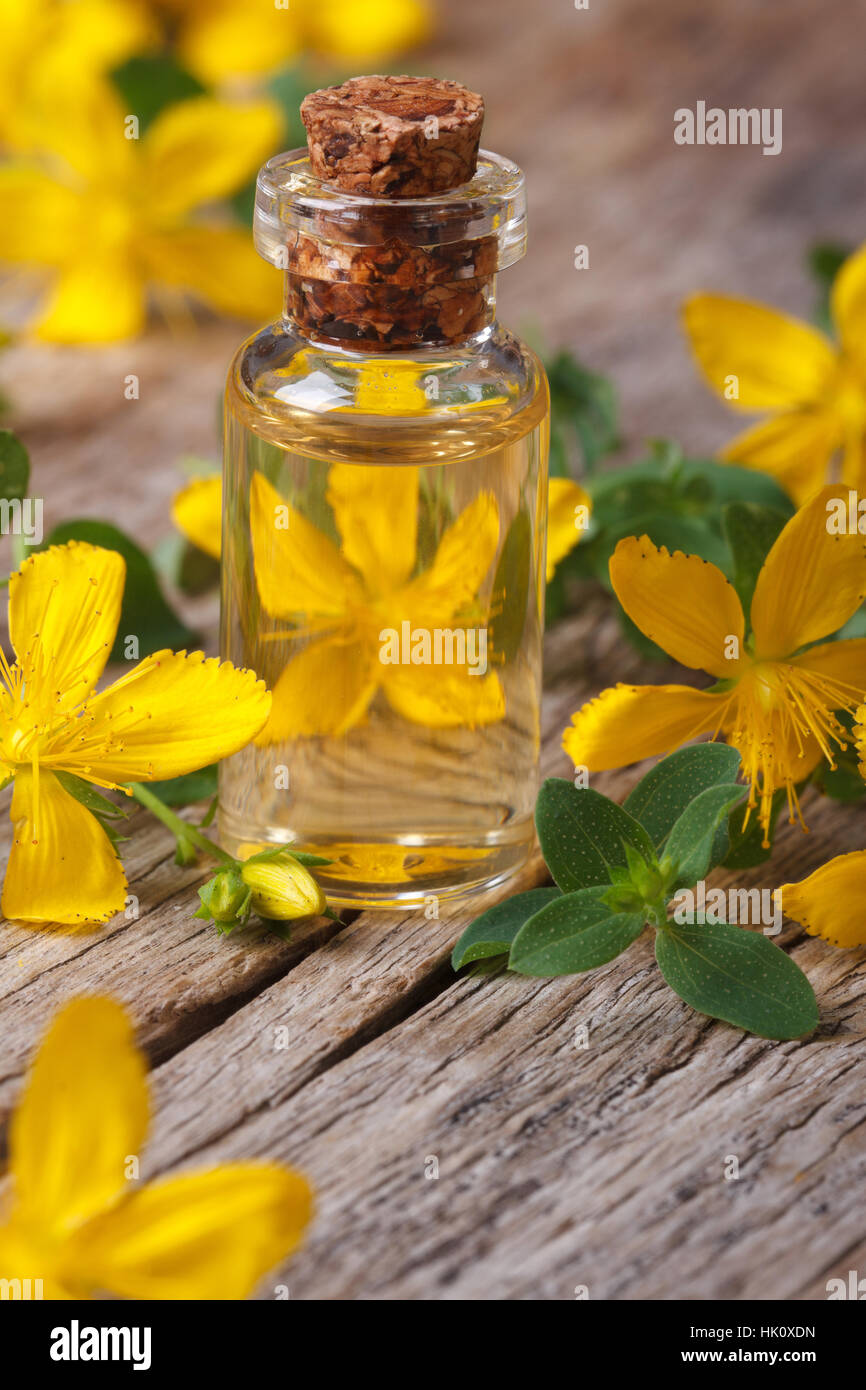 Extrakt aus den Blüten von Johanniskraut in einem Glas Flasche Makro vertikalen Stockfoto