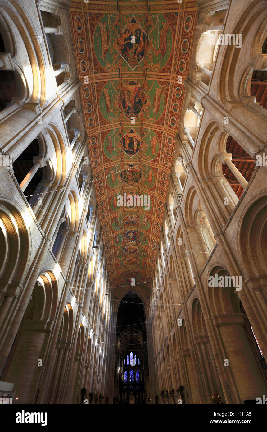 Das Kirchenschiff und die Decke des Kirchenschiffes an der Kathedrale von Ely, Cambridgeshire, Großbritannien. Stockfoto