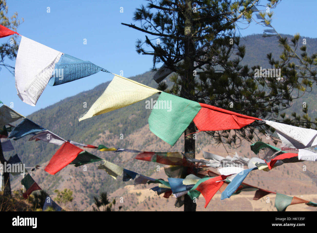 Eine weitere Möglichkeit, die Stimmung Wesen Respekt zollen Stockfoto