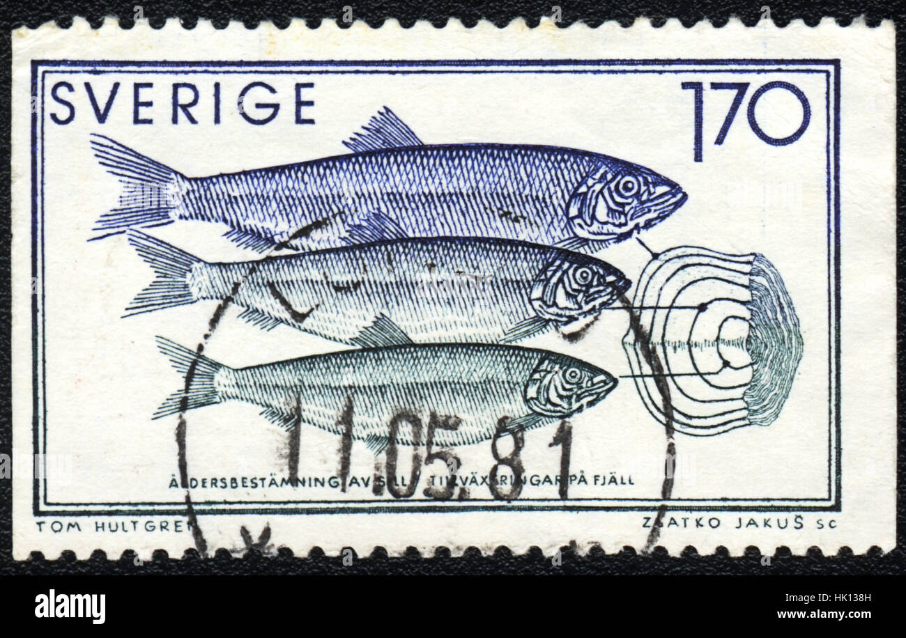 Eine Briefmarke gedruckt in Schweden zeigt ein Alter eines Fisches, 1981 Stockfoto