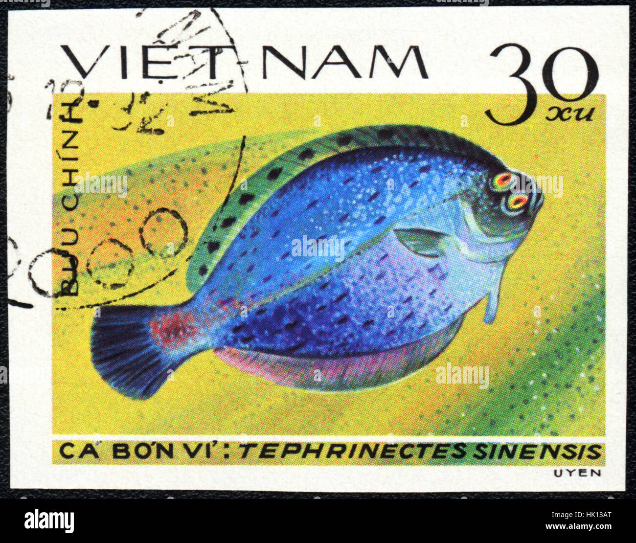 Eine Briefmarke gedruckt in VIETNAM zeigt einen Fisch Tephrinectes Sinensis, Serie "Plattfische", ca. 1982 Stockfoto
