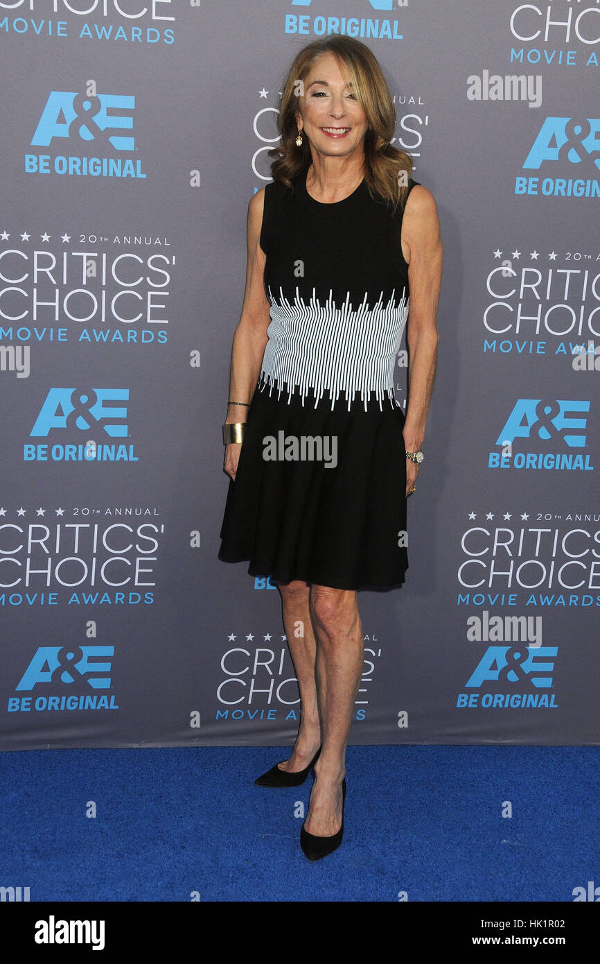 Hollywood, CA, USA. 15. Januar 2015. 15. Januar 2015 - Hollywood, Kalifornien - Lynda Obst. 20. annual Critics' Choice Movie Awards - Ankünfte statt Hollywood Palladium. Bildnachweis: Byron Purvis/AdMedia Credit: Byron Purvis/AdMedia/ZUMA Draht/Alamy Live-Nachrichten Stockfoto