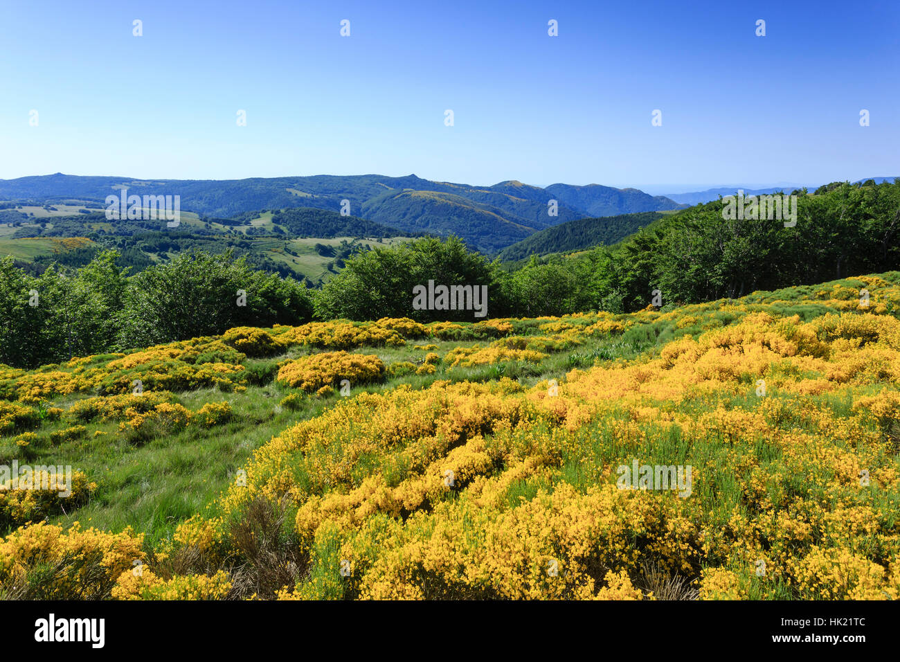 Frankreich, Ardeche, Parc Naturel regional des Monts d'Ardeche (regionaler Naturpark der Halterungen der Ardèche), Sagnes et Goudoulet, Landschaft Stockfoto