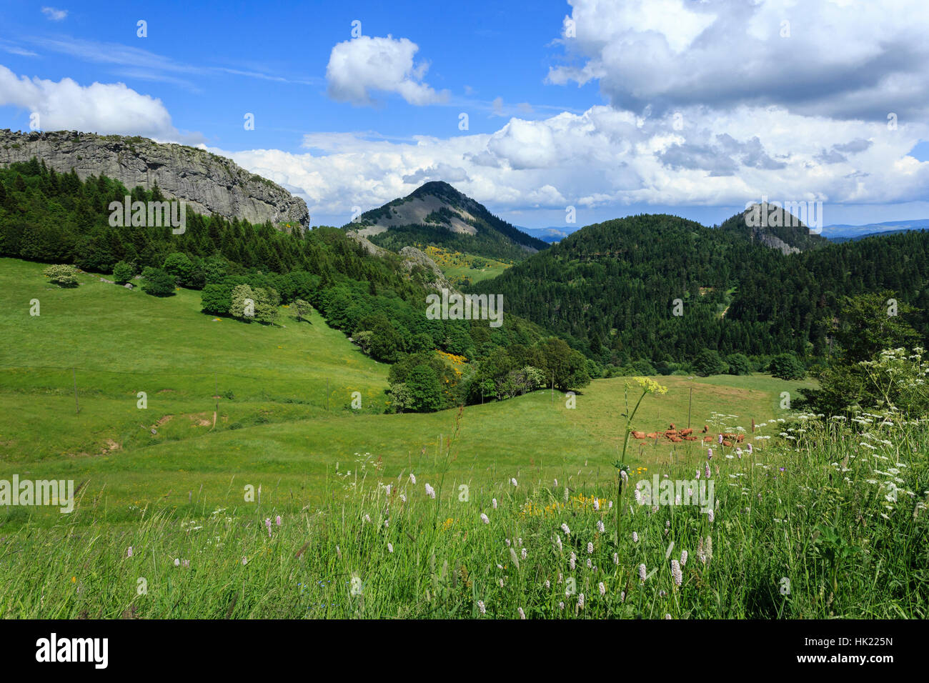 Landschaft des Mezenc-Massivs im regionalen Naturpark der Halterungen der Ardèche (Ardeche, Frankreich) Stockfoto