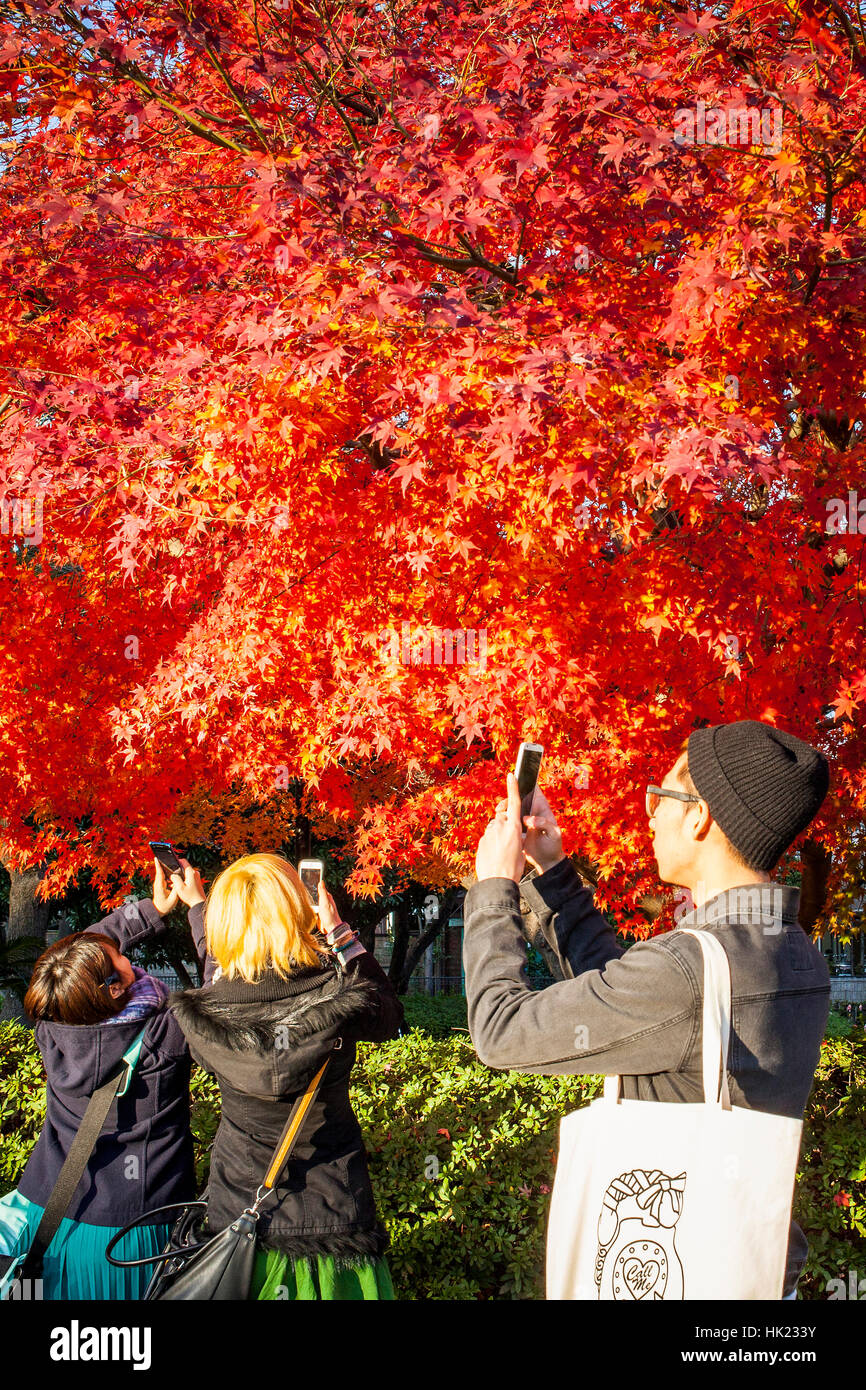 Menschen fotografieren, im Zojoji Tempel, Tokyo, Japan Stockfoto