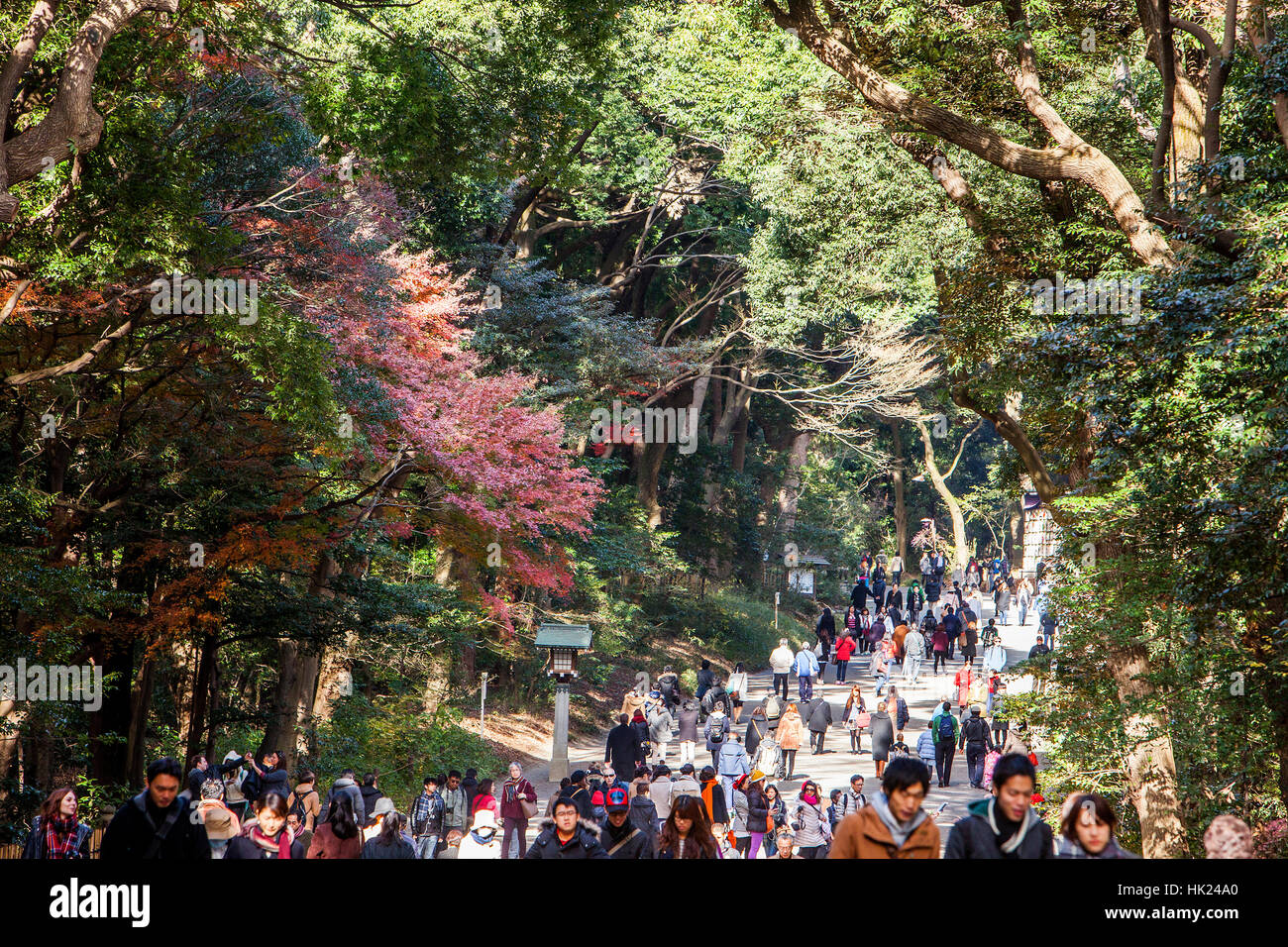 Pfad in Meiji-Jingu Shinto-Schrein. Yoyogi-Park. Tokyo. Japan Stockfoto