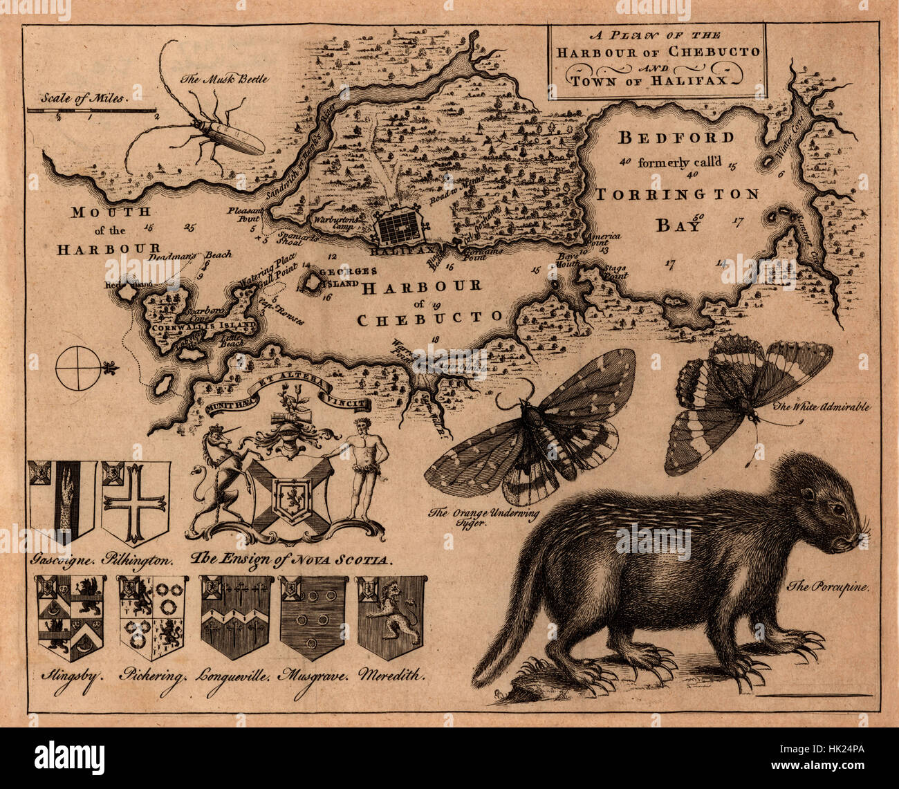 Karte von Halifax 1750 Stockfoto