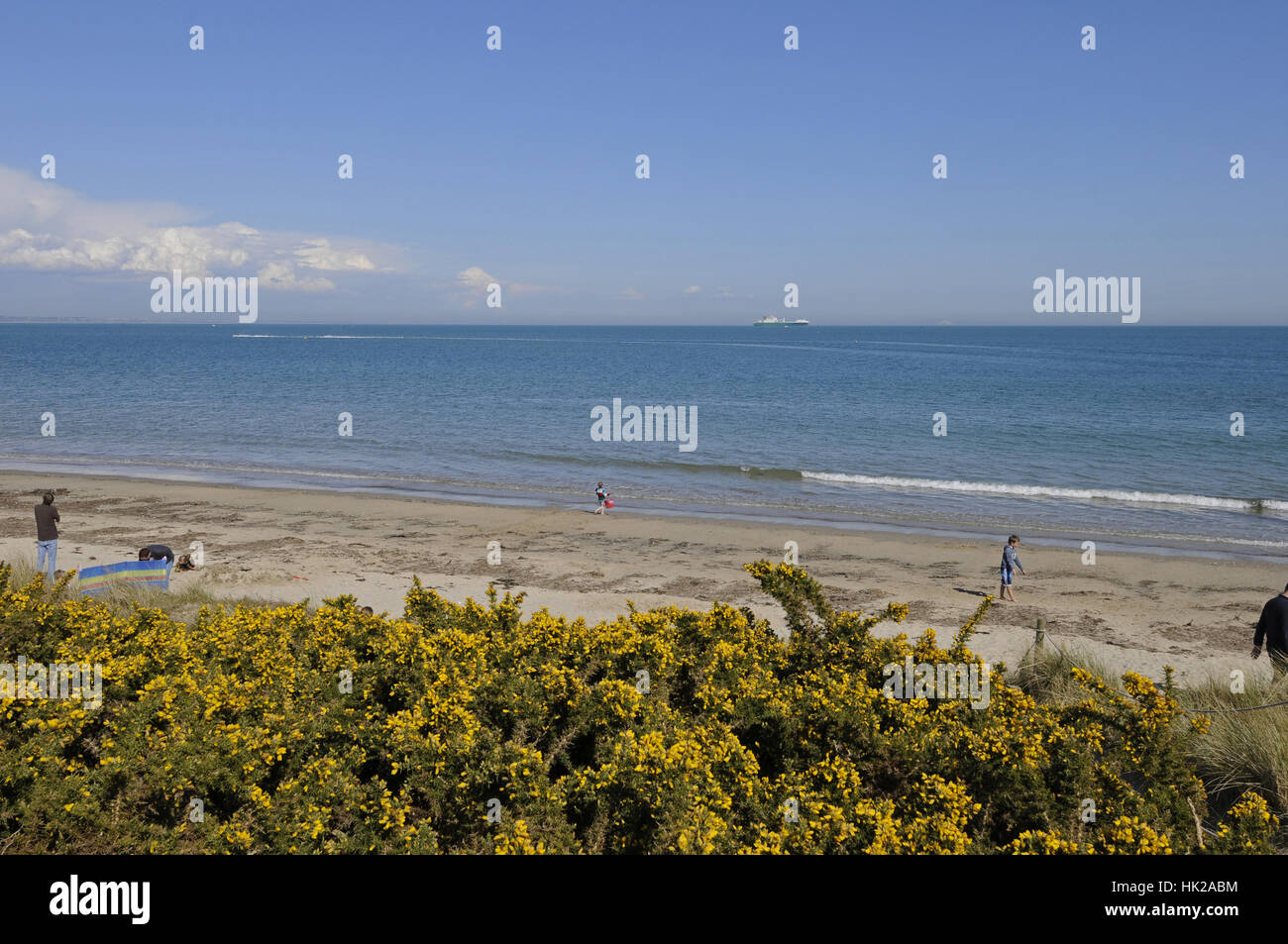 Knoll Strand Studland Bay, Isle of Purbeck-Dorset-England Stockfoto
