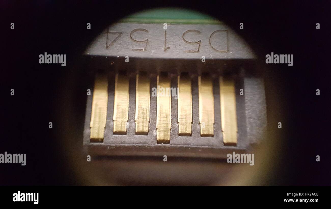 Leichte Mikroskopbild bei ca. 30 X Vergrößerung zeigt die vergoldeten elektrischen Kontakte auf einer Festplatte SATA-Anschluss, 2016. Stockfoto