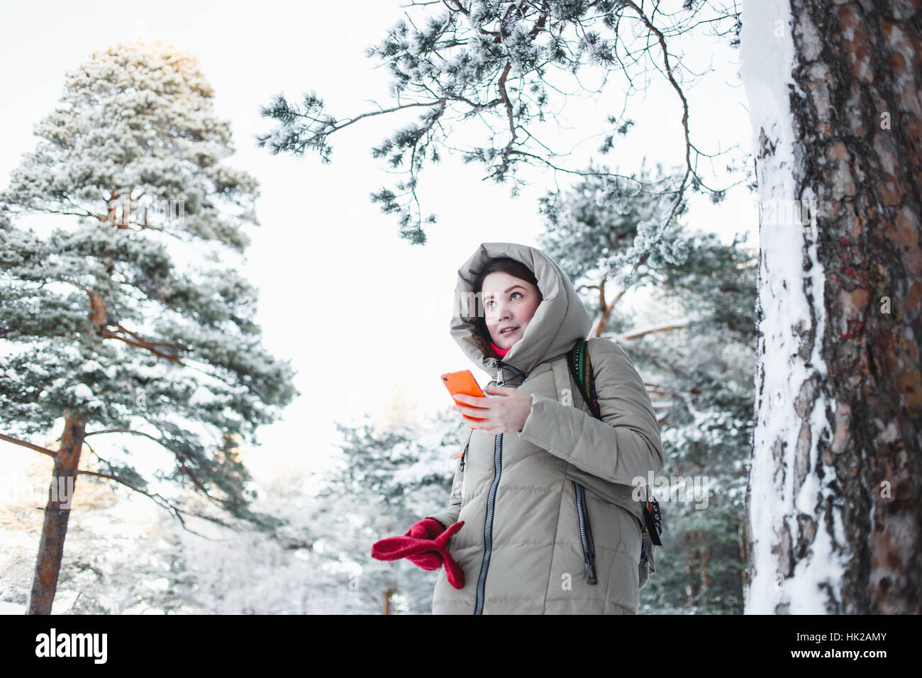 Stets gut gelaunte Frau SMS auf orange Smartphone während einer Reise in den Wald im Winter. Brunette Modell tragen warme Jacke mit Kapuze, rote Handschuhe Stockfoto