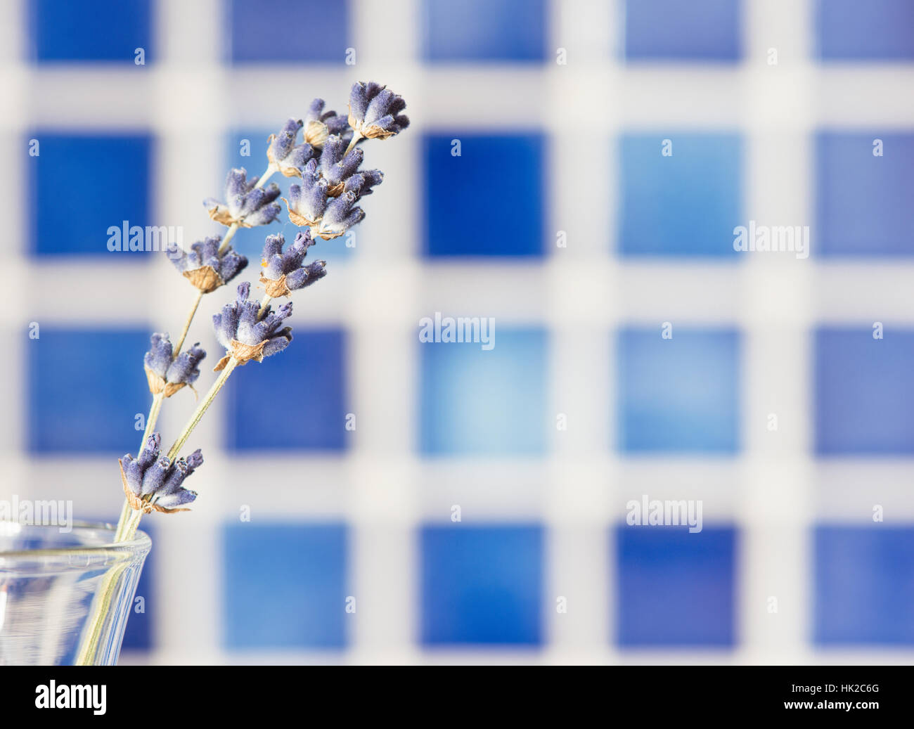 Lavendel Blumen in Glasvase mit blauem Hintergrund. Blumenstilleben. Stockfoto