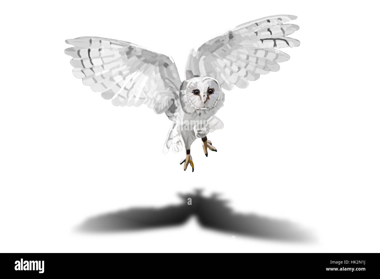 Fliegende Eule Zeichnung Stockfotos Und Bilder Kaufen Alamy