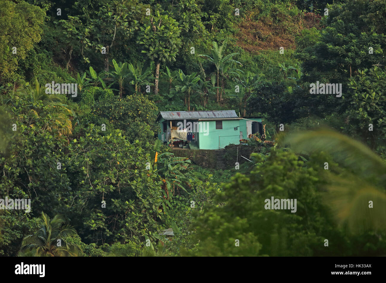 Ansicht der isolierten kleinen holding am Hang St. Lucia, kleine Antillen Dezember Stockfoto