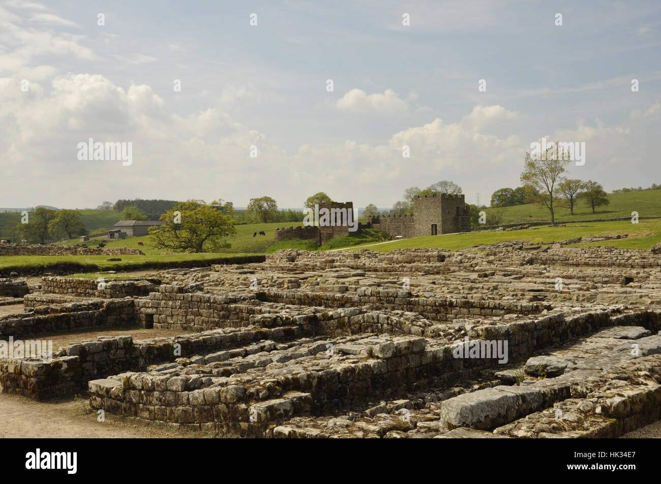 Vindolanda Ausgrabung Stockfoto