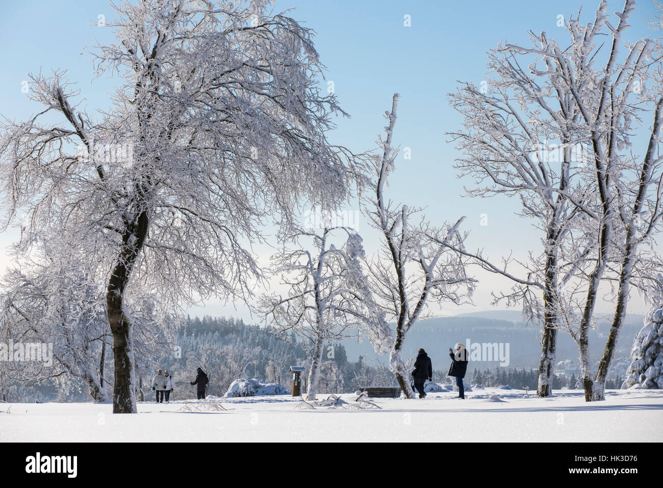 Winter im Bereich Sauerland, Deutschland, am Kahler Asten Berg, höchste Erhebung in Nord-Rhein-Westfalen, Schnee bedeckt, Bäume, Landschaft, sonnigen wea Stockfoto