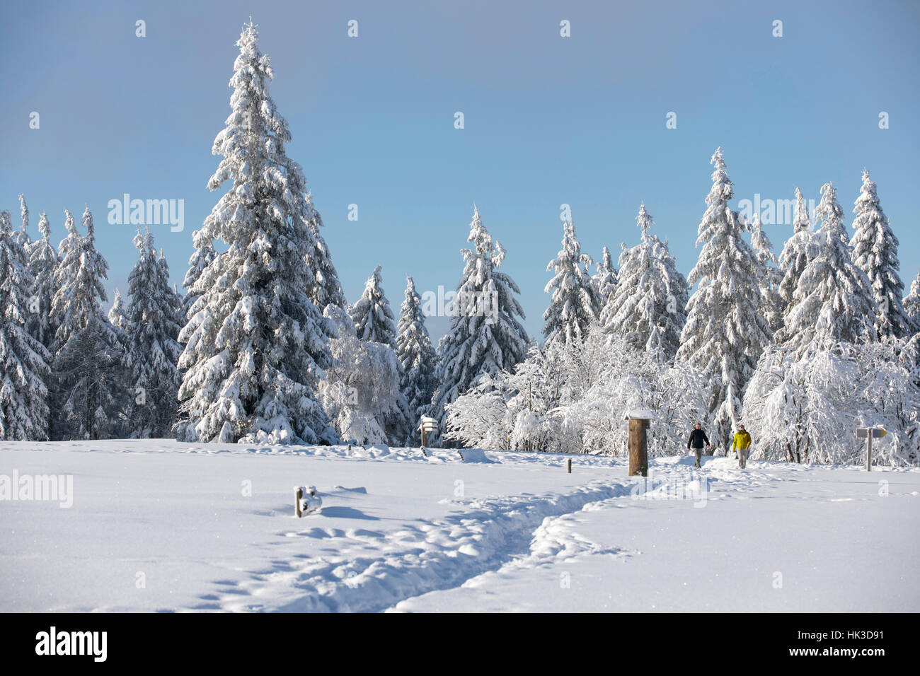 Winter im Bereich Sauerland, Deutschland, am Kahler Asten Berg, höchste Erhebung in Nord-Rhein-Westfalen, Schnee bedeckt, Bäume, Landschaft, sonnigen wea Stockfoto