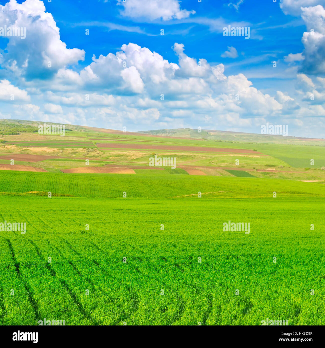 schöne ländliche Gegend und blauer Himmel Stockfoto