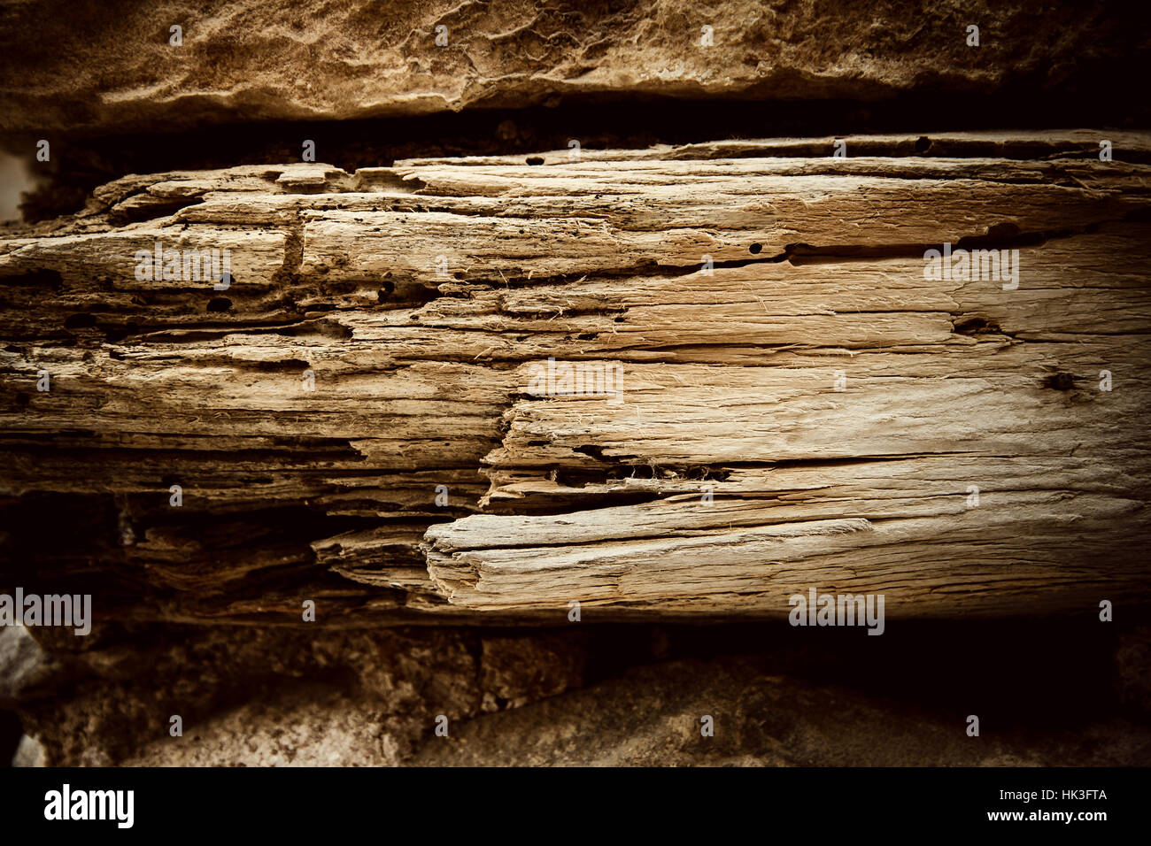 Alte Holz Wand trocken, verrotteten Baum als Hintergrund Stockfoto