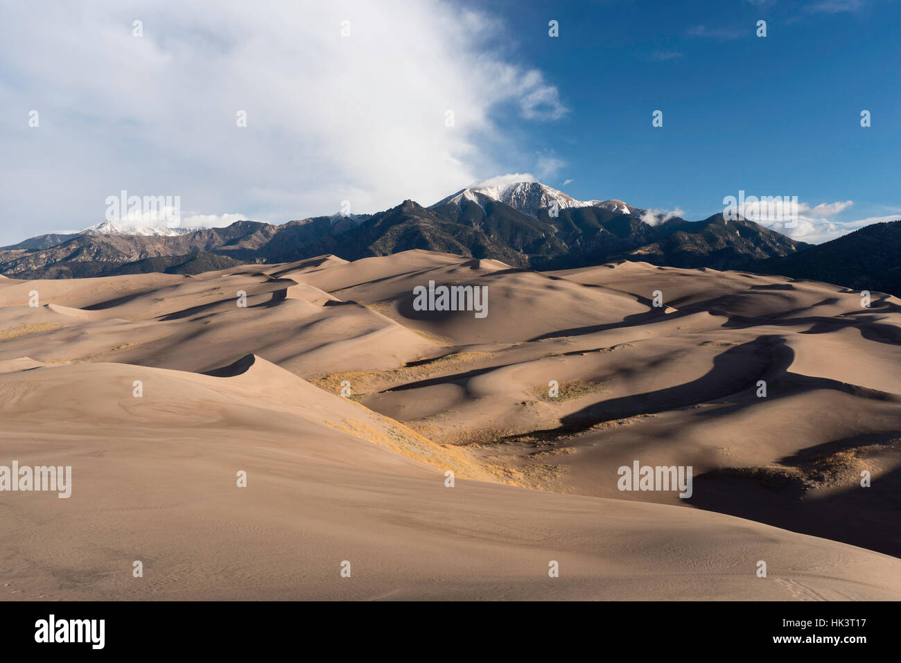 Great Sand Dunes National Park befindet sich in South Western Colorado Stockfoto