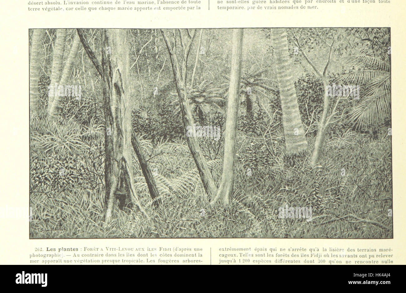 Bild von Seite 176 ' Album Géographique. [Mit Abbildungen.] " Bild von Seite 176 ' Album Géographique [mit schlecht Stockfoto