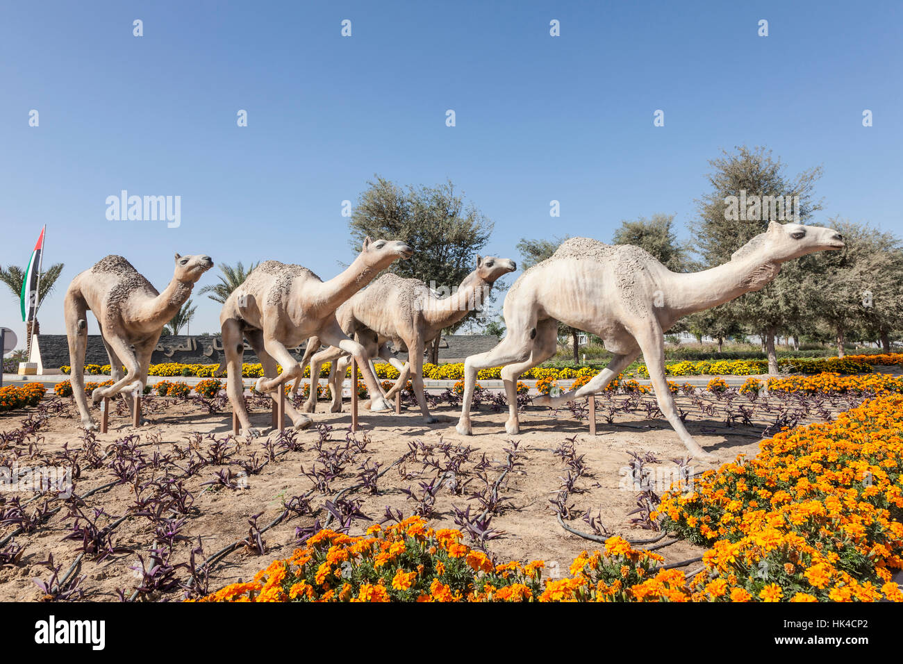Dubai Camel Race Course, Vereinigte Arabische Emirate Stockfoto