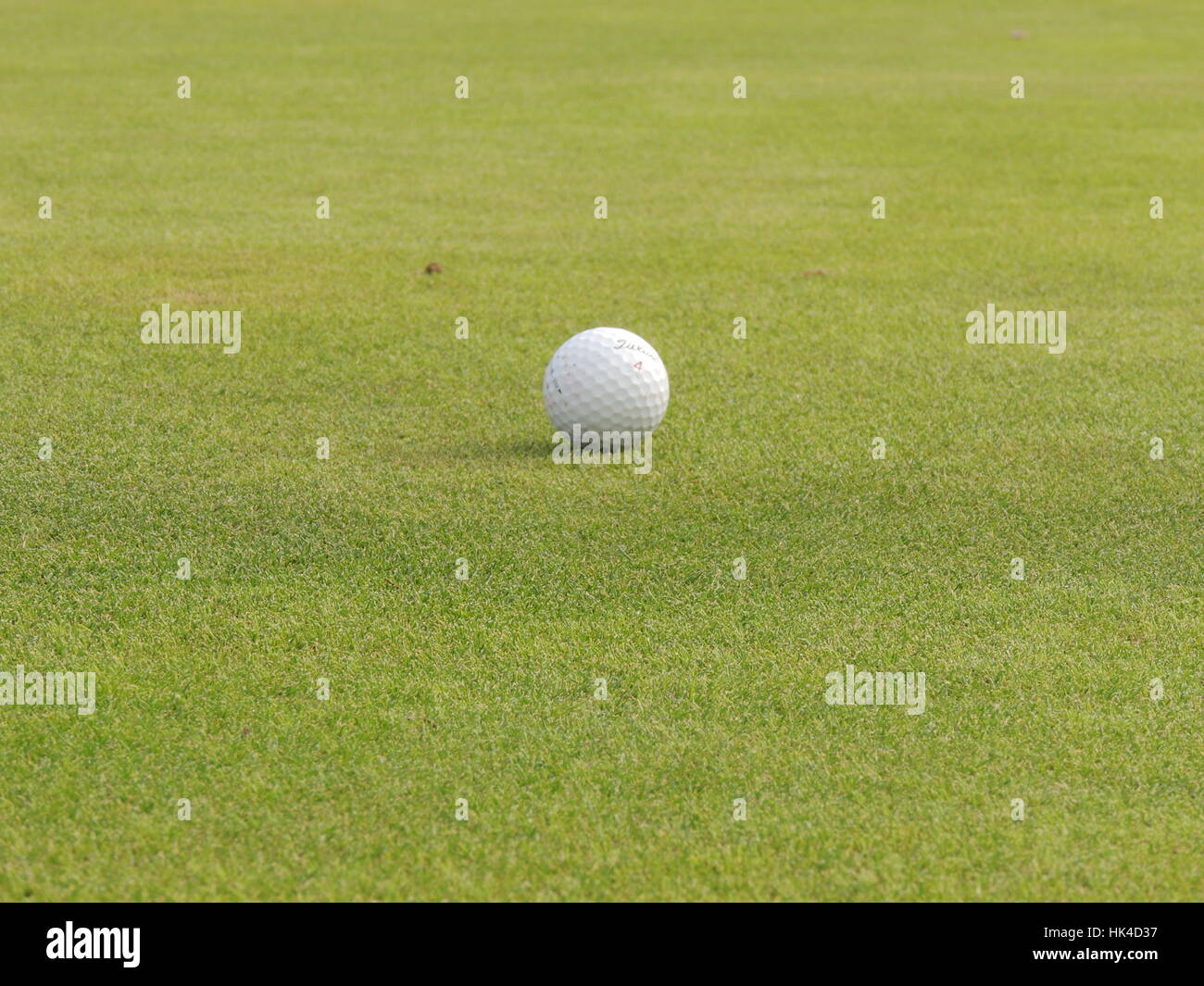 Punsch, Golfplatz, kultiviert, Ball, Golfball, Putt, Schläger, Grobian, golf Stockfoto